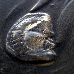 Meet your Posher, Grant